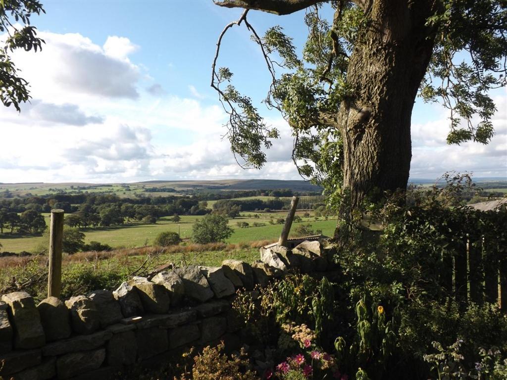 Hillis Close Farm Cottage Haltwhistle Exteriér fotografie